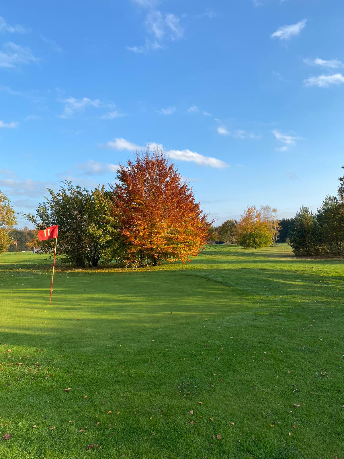 TEST GOLFBERICHT