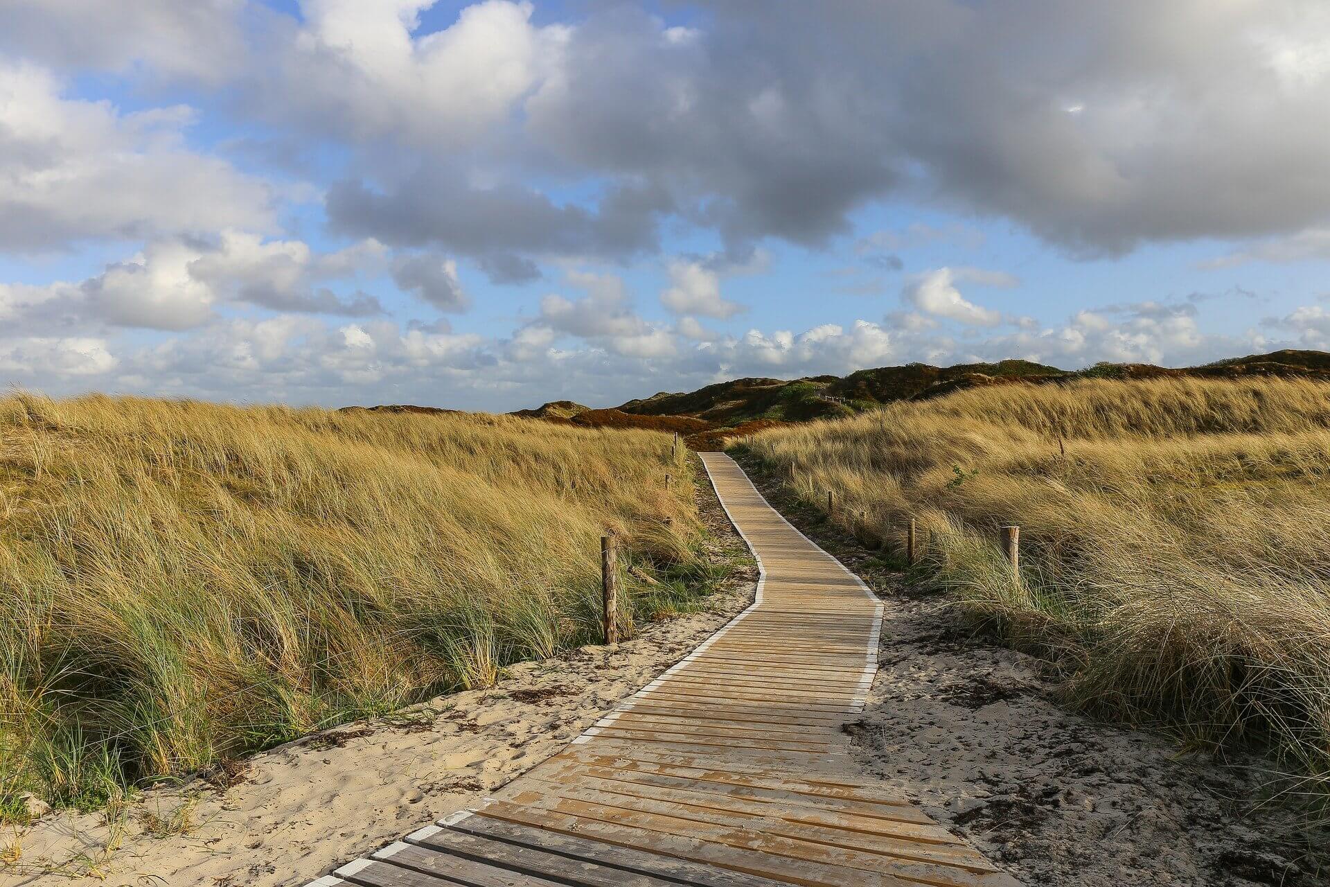 Golfbanen in Friesland