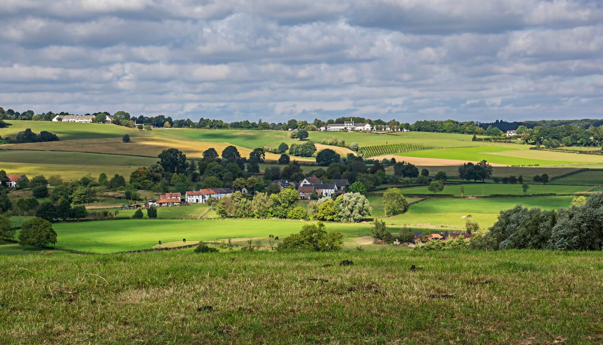 Golfbanen in Limburg