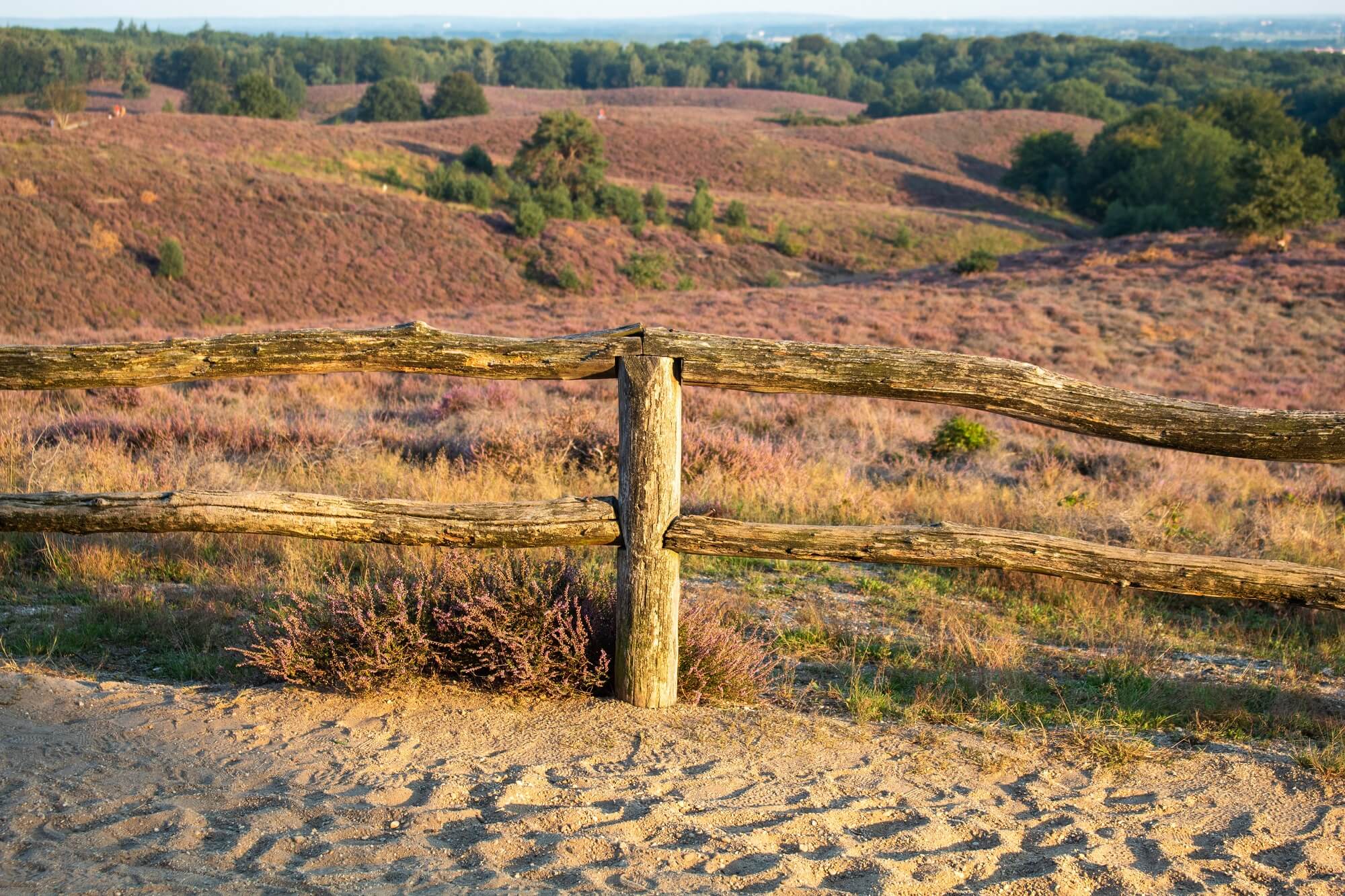 Golfbanen in Gelderland